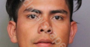 <B>ORELLANA</B> <B>BARRERA</B>, <B>DANIEL</B> #, Polk County, Florida - 2019-04-02