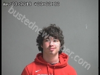 DUSKIN TYLER L | 2019-04-02 Sandusky County, Ohio Booking