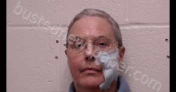JOHNSTON, MARY CAROLYN | 2019-04-02 23:14:00 Robertson County, Tennessee Booking