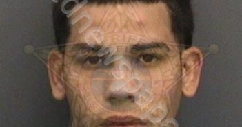 RIVERAAYALA, DAVIS ABRAHAM | 2019-04-03 21:18:00 Hillsborough County, Florida Booking