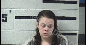 PHILLIPS, MARY ELIZABETH | 2019-04-03 20:06:00 Transylvania County, North Carolina Booking
