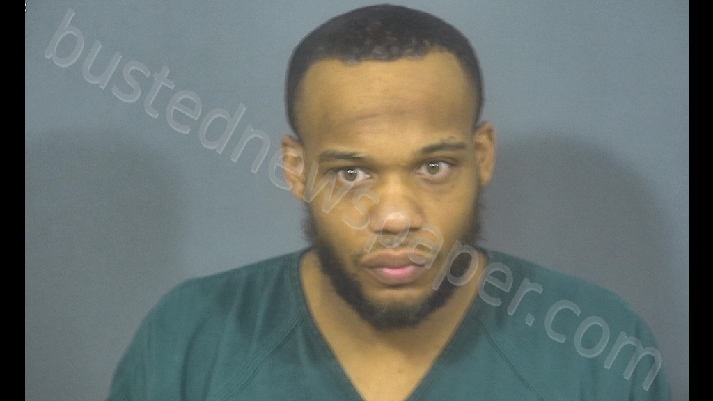 VERMARIO LASALLE NAPPER #, St. Joseph County, Indiana - 2019-04-03 06:48:00