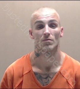 WHITE, CARL DANIEL | 2019-04-03 Wood County, Texas Booking