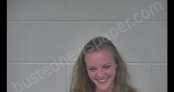 JAIMIE ERNSPERGER | 2019-04-03 21:25:00 Carroll County, Kentucky Booking
