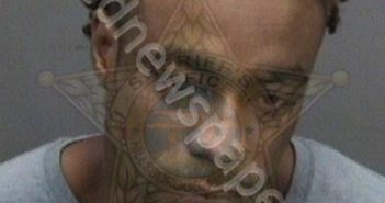 GREEN, DETERIO MURINO | 2019-04-03 11:03:00 Hillsborough County, Florida Booking