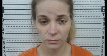 JESSICA PAIGE EARNHEART | 2019-04-03 10:55:00 Scott County, Missouri Booking