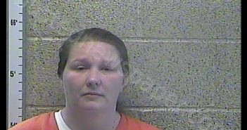 <B>ANGEL</B> <B>MARIE</B> DELGADO-SAMPLES-<B>PRUITT</B> #, Henderson County, Kentucky - 2019-04-04 05:52:00