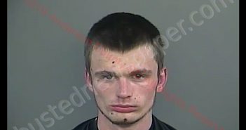 ETHAN JOSEPH CANTONI | 2019-04-04 20:56:00 Anderson County, South Carolina Booking
