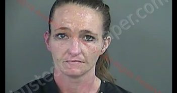 CRYSTAL LYNN PEARSON | 2019-04-04 07:07:00 Anderson County, South Carolina Booking