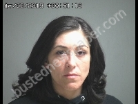 CASTILLO CRYSTAL T | 2019-04-05 Sandusky County, Ohio Booking