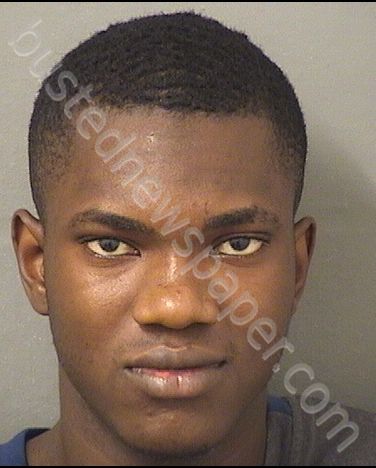 AMILCAR, DOMINIQUE #, Palm Beach County, Florida - 2019-04-05 02:35:00