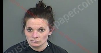 BRANDI CASSANDRA WHITFIELD | 2019-04-05 22:46:00 Anderson County, South Carolina Booking
