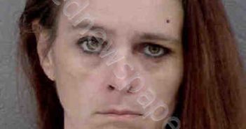 <B>EDWARDS</B>, <B>ROBIN</B> <B>MELISSA</B> #, Mecklenburg County, North Carolina - 2019-04-05 11:10:00