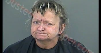 DONNA MARIE FLEMING | 2019-04-05 08:04:00 Anderson County, South Carolina Booking