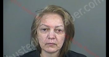 PAMELA DENISE AMARO | 2019-04-05 17:25:00 Anderson County, South Carolina Booking