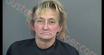 TRACY LYNN SMITH | 2019-04-05 07:42:00 Anderson County, South Carolina Booking