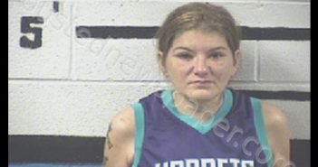 MORRIS, CORTNI PAIGE | 2019-04-05 Transylvania County, North Carolina Booking