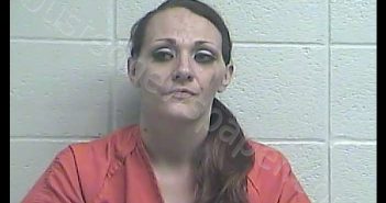 KRYSTAL MEGAN WOODS | 2019-04-05 20:56:00 Jessamine County, Kentucky Booking