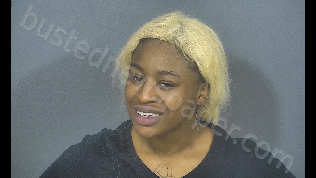 ARIEONNA LASHAY JONES #, St. Joseph County, Indiana - 2019-04-06 20:17:00