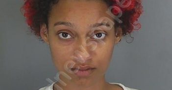 <B>ROSALYN</B> <B>DESHAY</B> <B>HICKLIN</B> #, Spartanburg County, South Carolina - 2019-04-07 18:59:44