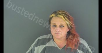 DAWN MARIE ALLEN | 2019-04-07 16:15:00 Shelby County, Indiana Booking