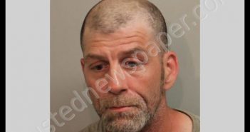 WILSON, MARION BAILEY | 2019-04-08 Leon County, Florida Booking