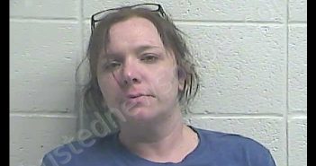 ASHLEY N MORGERSON | 2019-04-08 04:39:00 Jessamine County, Kentucky Booking