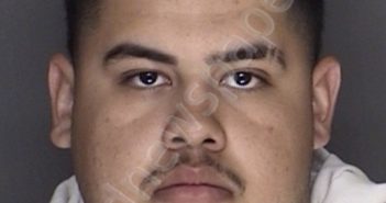 CALVILLO, BRANDON <B>XAVIER</B> #, Ellis County, Texas - 2019-04-08 04:16:00