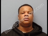 ANDERSON RYAN L | 2019-04-08 Erie County, Ohio Booking