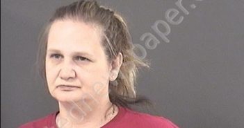 MEEKS, REGINA ANN | 2019-04-08 15:00:00 Roanoke County, Virginia Booking