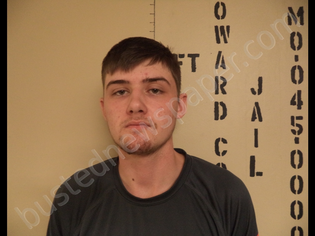 DAWSON ALLEN WATTS #, Howard County, Missouri - 2019-04-08 11:16:00