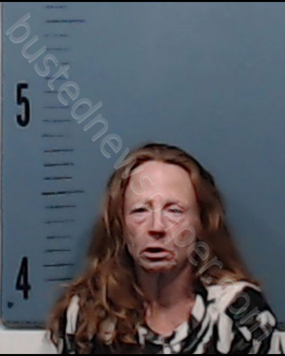 SIMMONS, DARLENE RENEE #, Taylor County, Texas - 2019-04-08