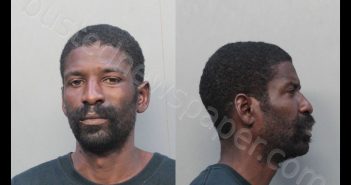 TISDOL, SEAN LAVARIS | 2019-04-09 12:41:00 Miami-Dade County, Florida Booking