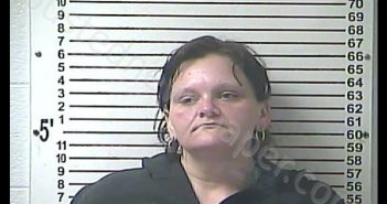 AMBER NICOLE WALDEN | 2019-04-09 11:20:00 Hardin County, Kentucky Booking