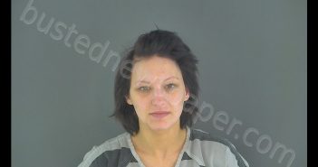 KELSIE NICHOLE BLACKLEY | 2019-04-09 13:17:00 Shelby County, Indiana Booking