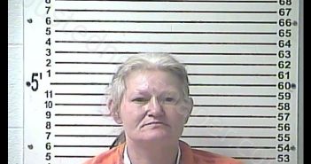 MELISSA MAE HOWARD | 2019-04-09 02:56:00 Hardin County, Kentucky Booking