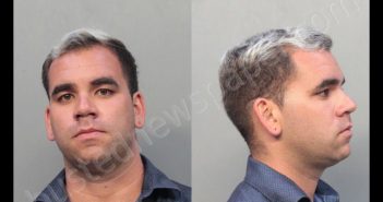 ALVISA, OTNIEL | 2019-04-09 13:04:00 Miami-Dade County, Florida Booking