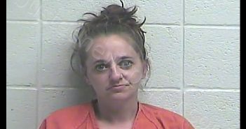 MISTY D PARKER | 2019-04-09 23:10:00 Jessamine County, Kentucky Booking