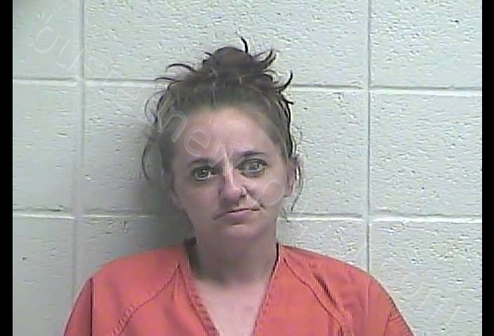 MISTY D PARKER #, Jessamine County, Kentucky - 2019-04-09 23:10:00