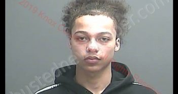 JOSHUA LAMONT MCGHEE | 2019-04-09 05:40:00 Knox County, Indiana Booking