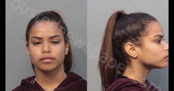 SANCHEZ, GENESIS JEMILE | 2019-04-09 12:38:00 Miami-Dade County, Florida Booking