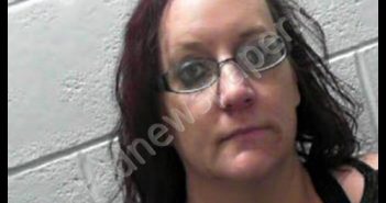 LOWE, FRANCES KAYE | 2019-04-09 07:00:00 Taylor County, West Virginia Booking