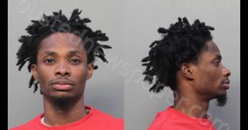 BELL, CLEVELAND | 2019-04-09 12:57:00 Miami-Dade County, Florida Booking