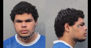 <B>RICARDO</B>, <B>STEPHEN</B> #, Miami-Dade County, Florida - 2019-04-09 17:29:00