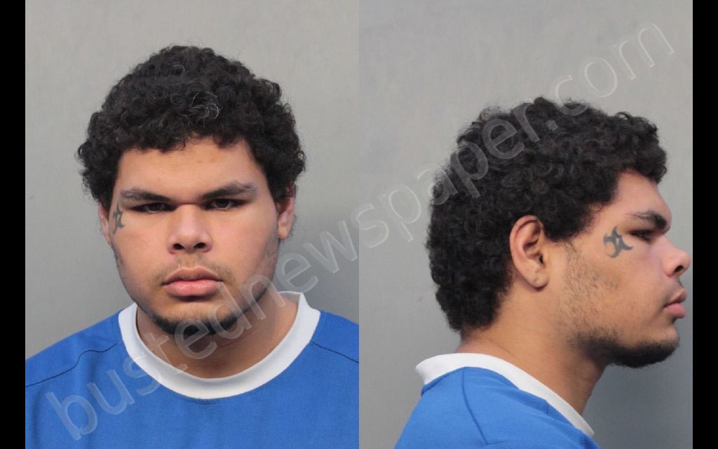RICARDO, STEPHEN #, Miami-Dade County, Florida - 2019-04-09 17:29:00