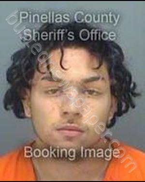 BELLUCCIA, GUISEPPE GIOVANNI #, Pinellas County, Florida - 2019-04-10 16:47:09