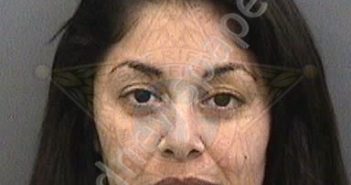 <B>GONZALEZ</B>, <B>MELISSA</B> <B>ISABEL</B> #, Hillsborough County, Florida - 2019-04-10 14:40:00
