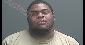 TYRIN K CHARLES | 2019-04-10 18:09:00 Knox County, Indiana Booking