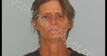 BROWN, PAULA ANN | 2019-04-10 Andrews County, Texas Booking