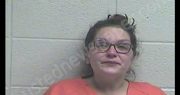 SHEENA J PUCKETT | 2019-04-10 01:07:00 Jessamine County, Kentucky Booking